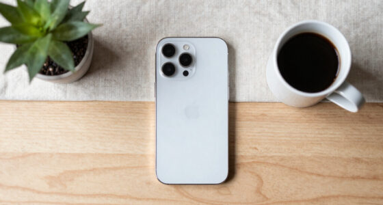 Apple Greift Nach China-Speicher. Europa Hat Nicht Einmal Diese Option.