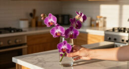 Costco’s $25 Floating Orchids Look Better Than A $500 Florist Arrangement