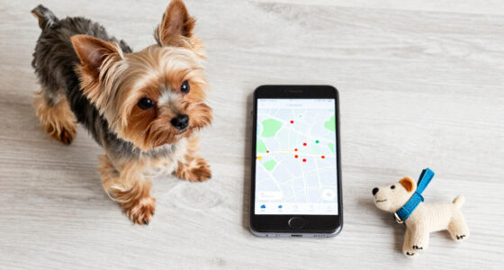 How Search Data Maps Pet Interest In Yorkshire