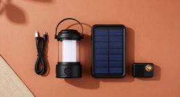 Powering sub-Saharan Africa Beyond The Grid
